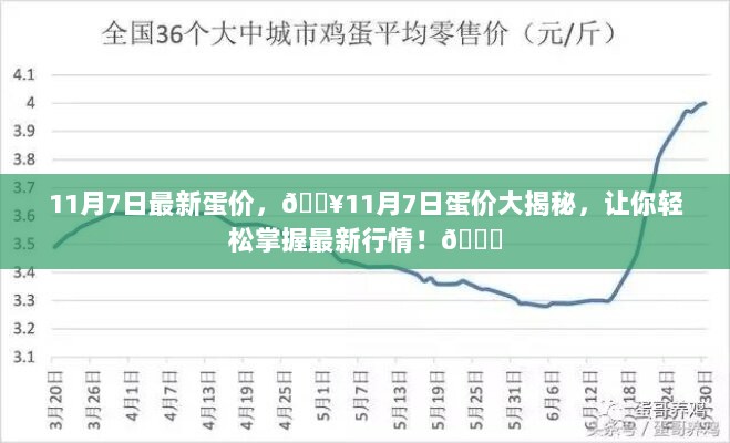 11月7日蛋价大揭秘，最新行情一览无余！