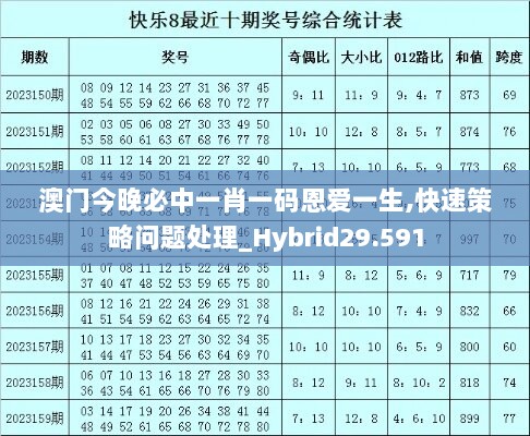 澳门今晚必中一肖一码恩爱一生,快速策略问题处理_Hybrid29.591