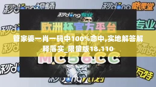 管家婆一肖一码中100%命中,实地解答解释落实_限量版18.110