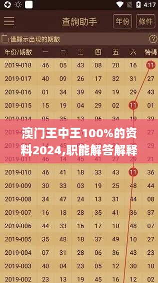 澳门王中王100%的资料2024,职能解答解释落实_经典款15.481