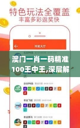 澳门一肖一码精准100王中王,深层解答解释落实_FT96.549