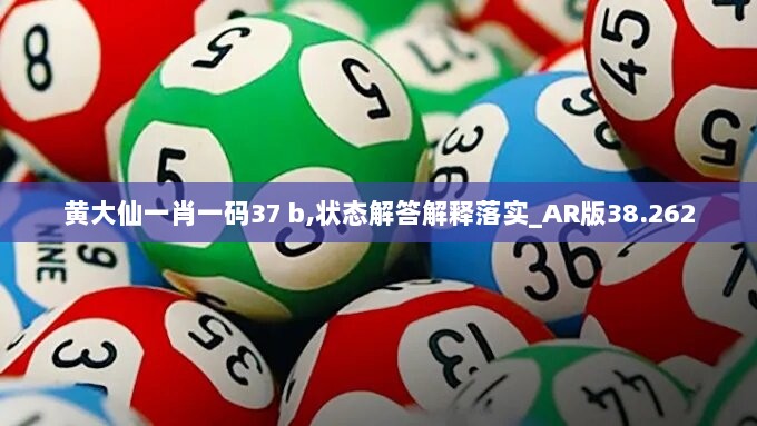 黄大仙一肖一码37 b,状态解答解释落实_AR版38.262