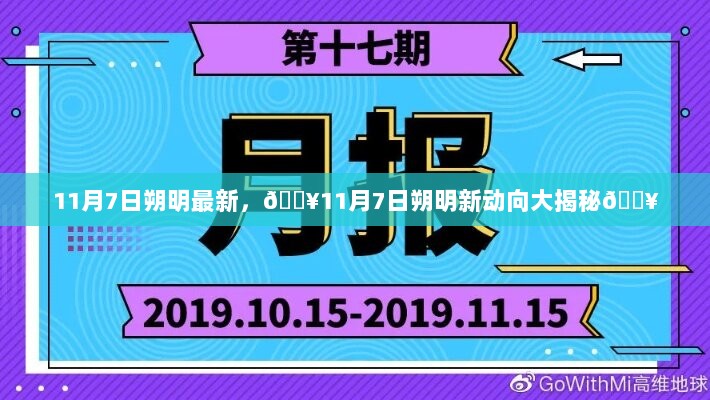 11月7日朔明新动向大揭秘