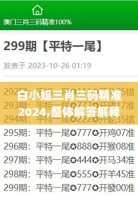 白小姐三肖三码精准2024,整体解答解释落实_豪华版17.206