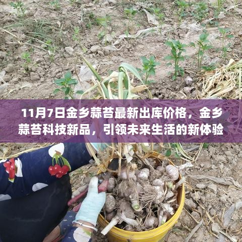 金乡蒜苔科技新品引领未来生活新体验，11月7日最新出库价格揭晓