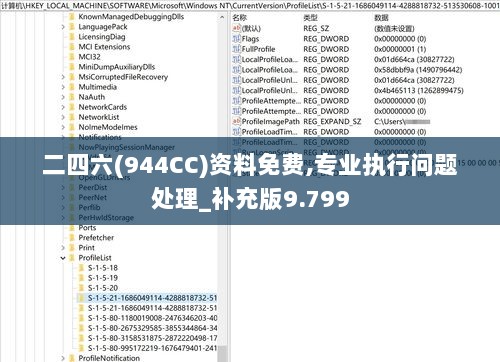 二四六(944CC)资料免费,专业执行问题处理_补充版9.799