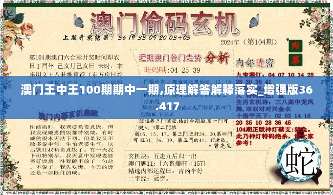 澳门王中王100期期中一期,原理解答解释落实_增强版36.417