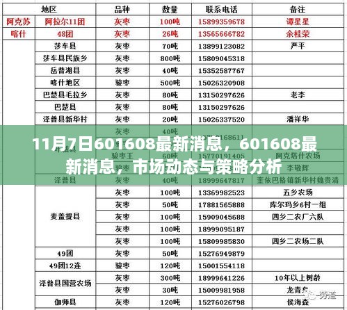 11月7日601608最新市场动态与策略分析