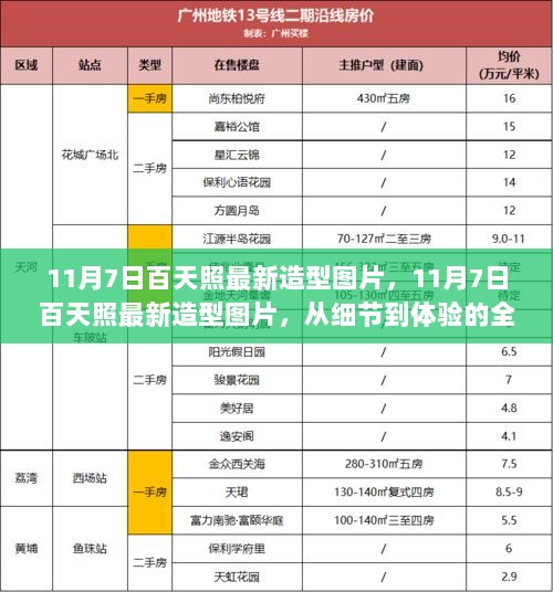 11月7日百天照，造型图片全面解析，从细节到体验的精彩展现