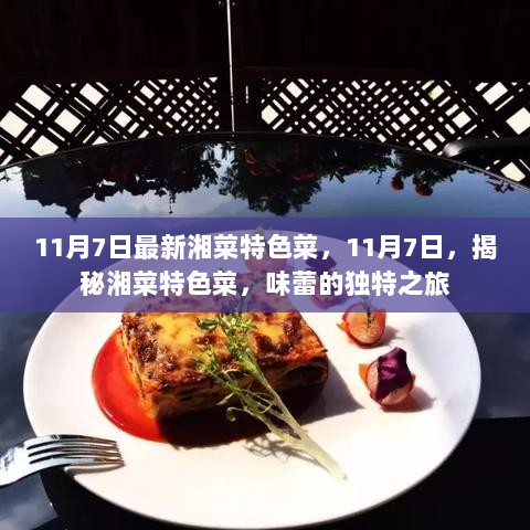 11月7日湘菜特色菜揭秘，味蕾的独特之旅