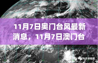 11月7日澳门台风最新消息及全面分析