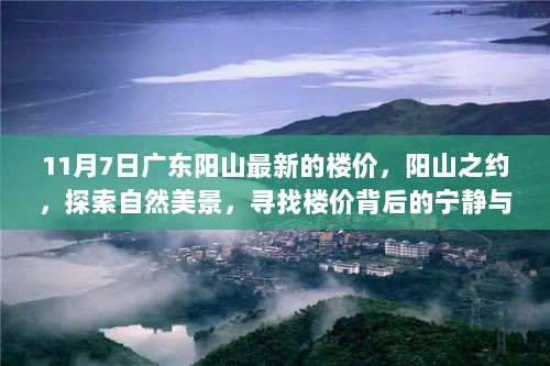 11月7日阳山楼价揭秘，探索自然美景与宁静自由的背后价值