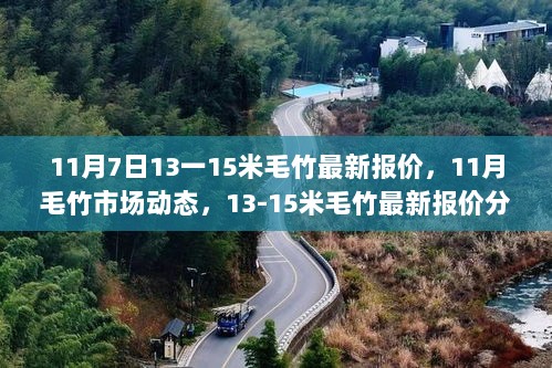 11月毛竹市场动态及13-15米毛竹最新报价分析