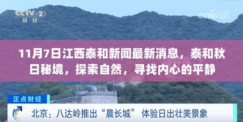 11月7日江西泰和秋日秘境，探索自然，寻找内心的平静新闻报道