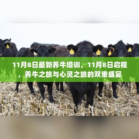 11月8日养牛之旅与心灵之旅双重盛宴，最新养牛培训启程