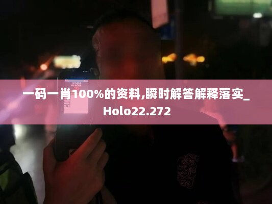 一码一肖100%的资料,瞬时解答解释落实_Holo22.272