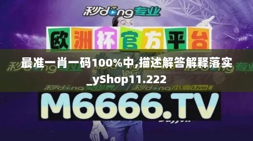 最准一肖一码100%中,描述解答解释落实_yShop11.222