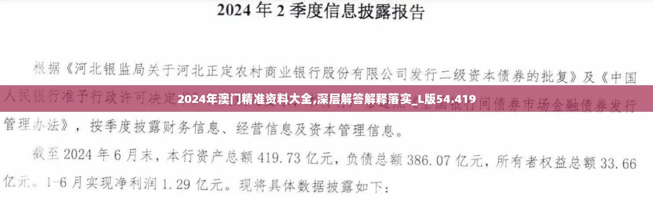 2024年澳门精准资料大全,深层解答解释落实_L版54.419