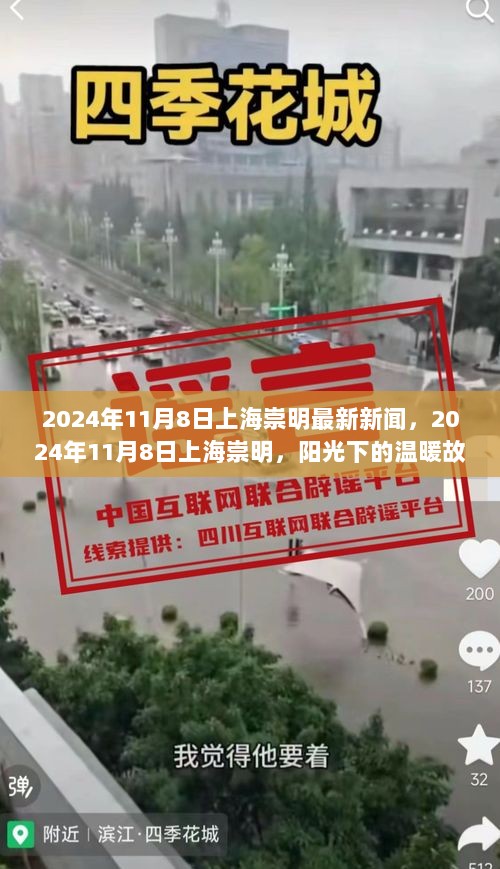 2024年11月8日上海崇明，阳光下的温暖故事与爱伴的美丽瞬间