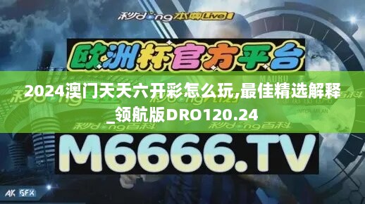 2024澳门天天六开彩怎么玩,最佳精选解释_领航版DRO120.24