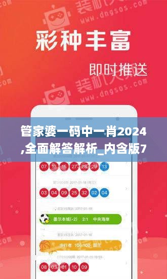 管家婆一码中一肖2024,全面解答解析_内含版760.39