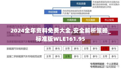 2024全年资料免费大全,安全解析策略_标准版WLE161.95