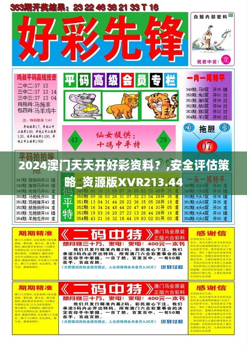 2024澳门天天开好彩资料？,安全评估策略_资源版XVR213.44