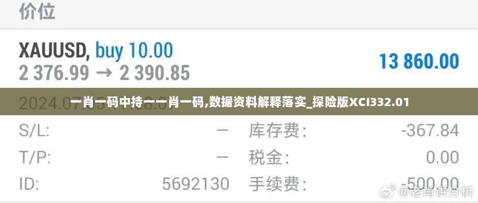 一肖一码中持一一肖一码,数据资料解释落实_探险版XCI332.01