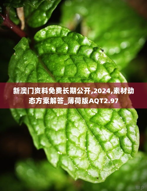 新澳门资料免费长期公开,2024,素材动态方案解答_薄荷版AQT2.97