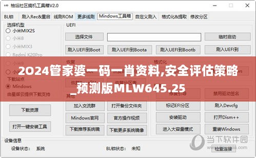 2O24管家婆一码一肖资料,安全评估策略_预测版MLW645.25