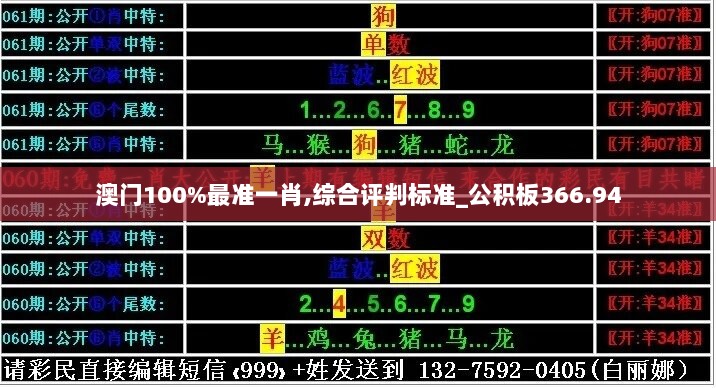 澳门100%最准一肖,综合评判标准_公积板366.94