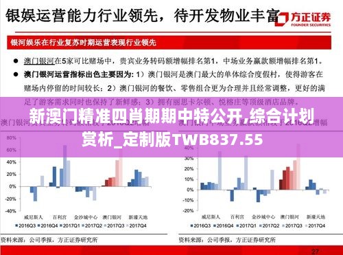 新澳门精准四肖期期中特公开,综合计划赏析_定制版TWB837.55