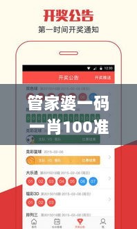 管家婆一码一肖100准,安全设计策略解析_预备版199.12