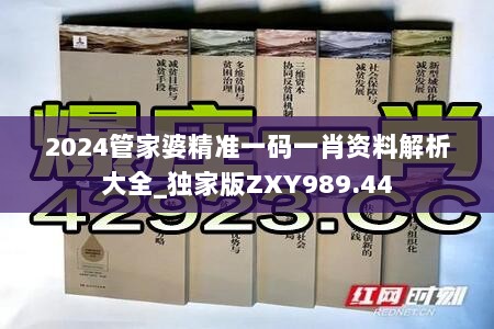 2024管家婆精准一码一肖资料解析大全_独家版ZXY989.44