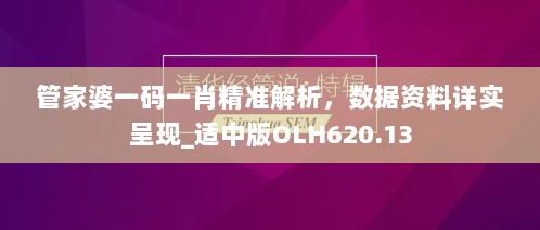 管家婆一码一肖精准解析，数据资料详实呈现_适中版OLH620.13