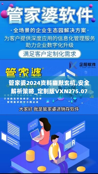 管家婆2024资料幽默玄机,安全解析策略_定制版VXN275.07