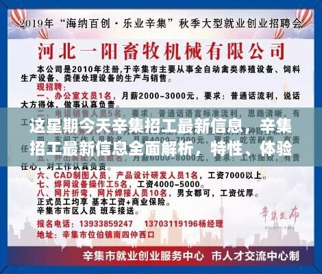 辛集招工最新信息全面解析，特性、体验及市场对比