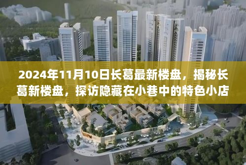 2024年长葛新楼盘揭秘，探访隐藏在小巷中的特色小店悦心阁