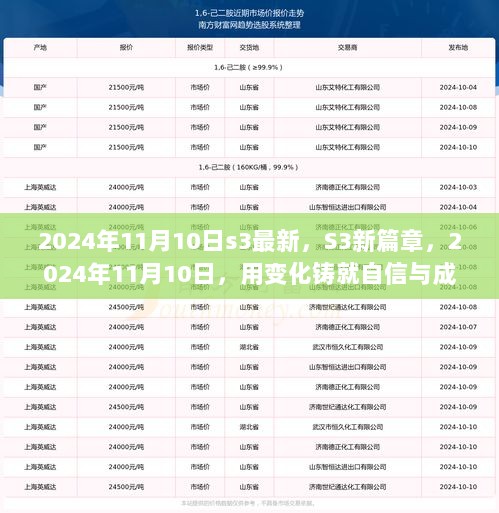 2024年11月10日S3新篇章，以变化铸就自信与成就的辉煌