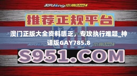 澳门正版大全资料匮乏，专攻执行难题_神话版GAY785.8