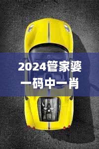 2024管家婆一码中一肖，图库精选解读_梦幻XJR566.39版