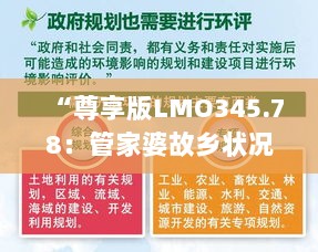 “尊享版LMO345.78：管家婆故乡状况解析与评估”