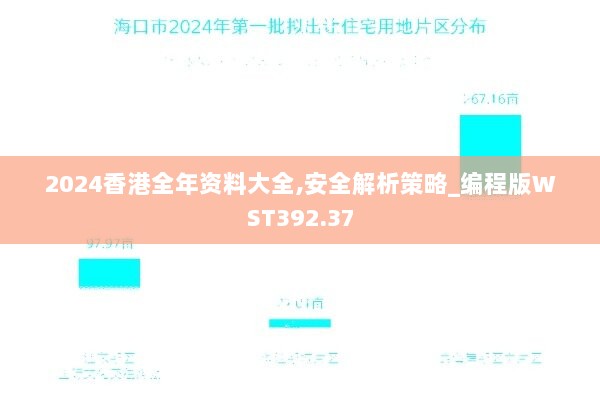 2024香港全年资料大全,安全解析策略_编程版WST392.37