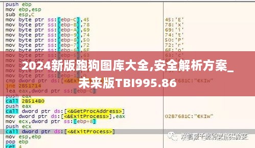 2024新版跑狗图库大全,安全解析方案_未来版TBI995.86