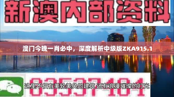 澳门今晚一肖必中，深度解析中级版ZKA915.1