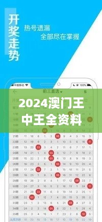 2024澳门王中王全资料解读，精准信息收录版XKL427.45