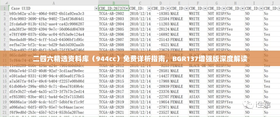 二四六精选资料库（944cc）免费详析指南，BGR137增强版深度解读