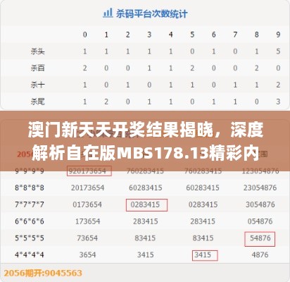 澳门新天天开奖结果揭晓，深度解析自在版MBS178.13精彩内容