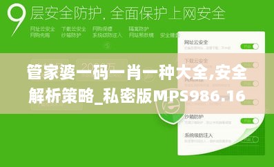 管家婆一码一肖一种大全,安全解析策略_私密版MPS986.16