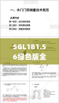 SGL181.56绿色版全解析：新门内部资料深度汇编